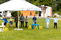 Photo-8