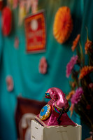 Photo-16